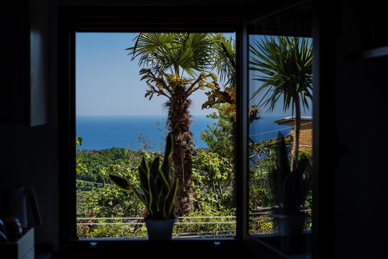 Nonna Carmela Apartment Sant'Agata sui due Golfi Bagian luar foto